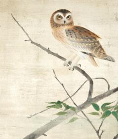 Japanese Two Panel Screen Owl in the Wild - 3257626