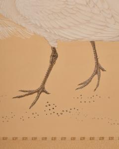 Japanese Two Panel Screen White Peafowl in Courtship Display - 4713079