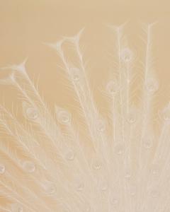 Japanese Two Panel Screen White Peafowl in Courtship Display - 4713085