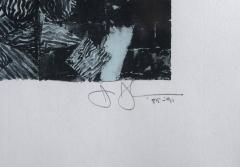 Jasper Johns Summer Blue - 4657317