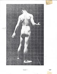 Jaye Gergory Pair of Life Sized Anatomical Studies 83 x 49  - 1086177