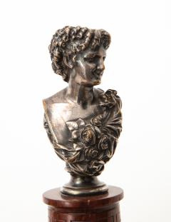 Jean Baptiste Clesinger Pair of Silvered Bronze and Rouge Marble Busts - 806612