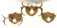 Jean Charles Moreux Set 3 French Alps Gilt Shield Mounted Antlers attr Jean Charles Moreux c 1935 - 4523350