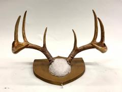 Jean Charles Moreux Set 3 French Alps Gilt Shield Mounted Antlers attr Jean Charles Moreux c 1935 - 4523354