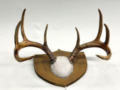 Jean Charles Moreux Set 3 French Alps Gilt Shield Mounted Antlers attr Jean Charles Moreux c 1935 - 4523356