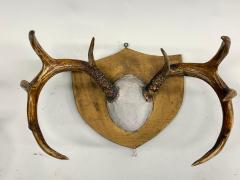 Jean Charles Moreux Set 3 French Alps Gilt Shield Mounted Antlers attr Jean Charles Moreux c 1935 - 4523357