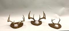 Jean Charles Moreux Set 3 French Alps Gilt Shield Mounted Antlers attr Jean Charles Moreux c 1935 - 4523361