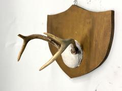Jean Charles Moreux Set 3 French Alps Gilt Shield Mounted Antlers attr Jean Charles Moreux c 1935 - 4523366