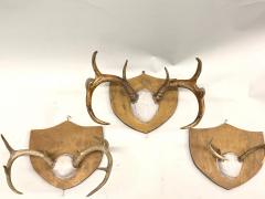 Jean Charles Moreux Set 3 French Alps Gilt Shield Mounted Antlers attr Jean Charles Moreux c 1935 - 4523371