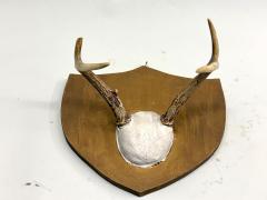 Jean Charles Moreux Set 3 French Alps Gilt Shield Mounted Antlers attr Jean Charles Moreux c 1935 - 4523382