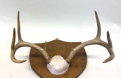 Jean Charles Moreux Set 3 French Alps Gilt Shield Mounted Antlers attr Jean Charles Moreux c 1935 - 4523388