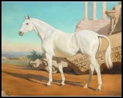 Jean Eleanor Bowman Jean Bowman American 1918 1994 White Arabian Portrait of a Horse 1947 - 3880909