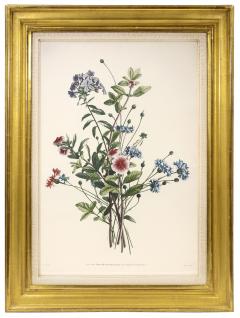 Jean Louis Prevost Collection des Fleurs et des Fruits a Set of Five Floral Designs  - 1224353