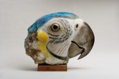 Jean Marie Fiori Blue Macaw s Head Jean Marie FIORI - 2819582