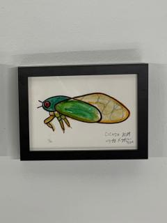 Jeff Kapfer Cicada - 4794847