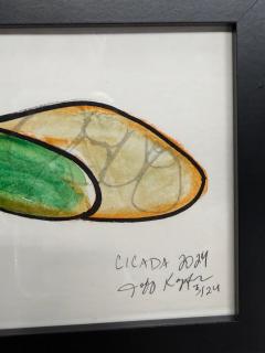 Jeff Kapfer Cicada - 4794937