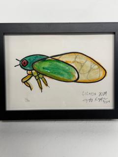Jeff Kapfer Cicada - 4794938