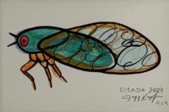 Jeff Kapfer Cicada - 4795939