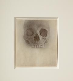 Jefferson Hayman Skull photo - 3382285