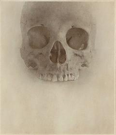 Jefferson Hayman Skull photo - 3384371