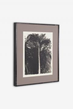 Jim Dine Botanical Offset Lithograph 1979 - 4244504