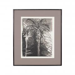Jim Dine Botanical Offset Lithograph 1979 - 4244602
