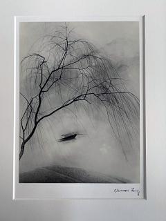 JinShan Lang Framed Photograph Spring Fantasia by JinShan Long - 3105010