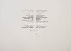Joan Mir Lapidari  - 2751320