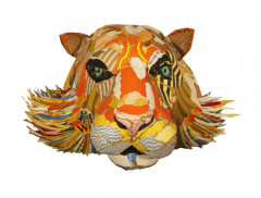 Joanathan BESSACI Tiger 2021 - 4233070