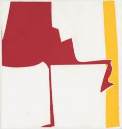 Joanne Freeman Covers 13 Red Yellow - 3755625