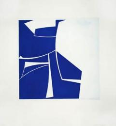 Joanne Freeman Covers 2 Cobalt - 3755641