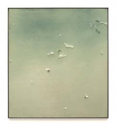 Joe Goode Air Tears Unititled 4  - 592683