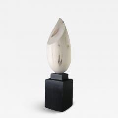 Joel Urruty Arctic Joel Urruty - 3254904