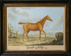 Johann Meno Haas A Pair of Horses Gentle Kitty and Melilcoma  - 2177183