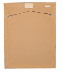 Johann Wilhelm Weinmann Set of 6 Framed Hand Coloured Botanicals Engravings By J W Weinmann - 4458745