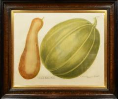 Johann Wilhelm Weinmann Set of Four Gourds - 781421