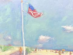 John Crimmins Flag at Coopers Beach  - 2089944