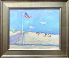 John Crimmins Flag at Coopers Beach  - 2089948