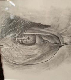 John D Herz Original Sketch of an Intense Gaze Behind Glasses Charcoal on Paper Framed - 2873700