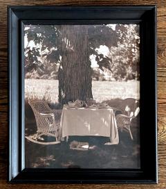 John Dugdale Frame Photograph Shady Breakfast by John Patrick Dugdale - 2964372