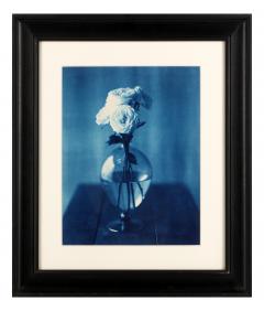 John Dugdale Framed Editioned Cyanotype Photograph by John Patrick Dugdale Provenance - 4801057