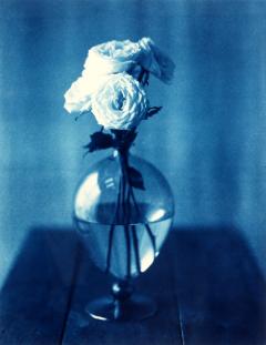 John Dugdale Framed Editioned Cyanotype Photograph by John Patrick Dugdale Provenance - 4801060