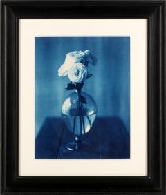 John Dugdale Framed Editioned Cyanotype Photograph by John Patrick Dugdale Provenance - 4801097