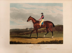 John Frederick Herring Portraits of the Winning Horses of the Great St Leger Stakes at Doncaster - 3500374