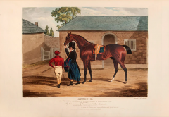 John Frederick Herring Portraits of the Winning Horses of the Great St Leger Stakes at Doncaster - 3500376
