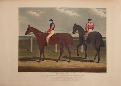 John Frederick Herring Portraits of the Winning Horses of the Great St Leger Stakes at Doncaster - 3500383