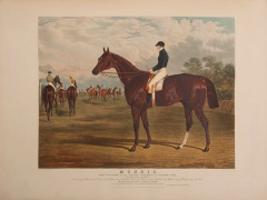 John Frederick Herring Portraits of the Winning Horses of the Great St Leger Stakes at Doncaster - 3500384