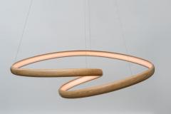 John Procario John Procario Freeform Light Series Sculpture XXXIX USA 2024 - 4031884