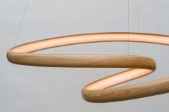 John Procario John Procario Freeform Light Series Sculpture XXXIX USA 2024 - 4031923