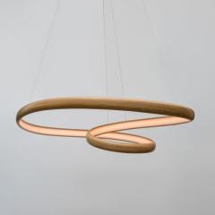 John Procario John Procario Freeform Light Series Sculpture XXXIX USA 2024 - 4031928
